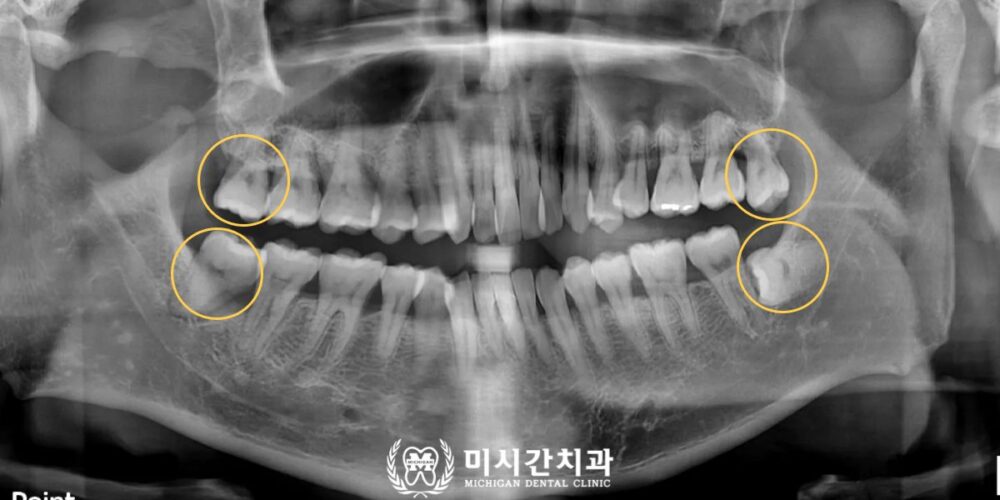 연산동치과