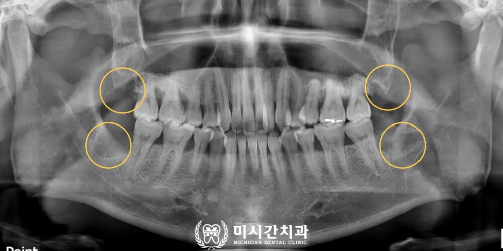 연산동치과